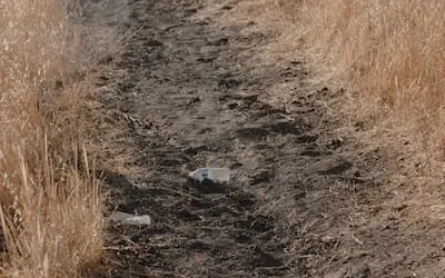 A discarded plastic bottle on a dirt trail through dry grass