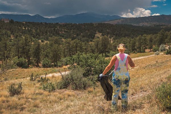 Volunteers help remove invasive plants at Ute Valley Park