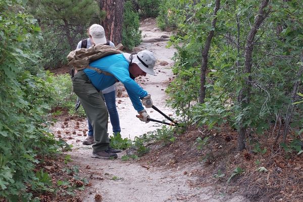 Rattlesnake Ridge corridor clearing moves forward